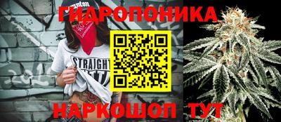 эйфоретик Заволжье