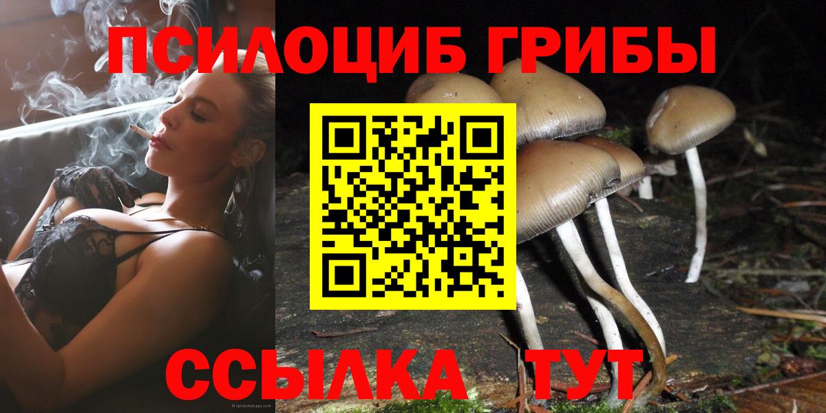 Галлюциногенные грибы MAGIC MUSHROOMS Междуреченск