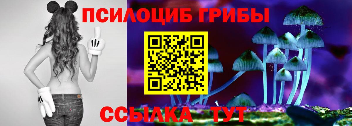 Междуреченск  Галлюциногенные грибы Magic Shrooms  что такое наркотик  Псилоцибиновые грибы мицелий  Вход с VPN 